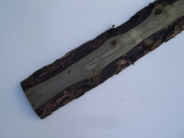 Geïmpregneerde ongeschaafde planken