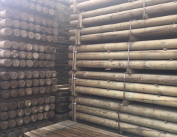 Geïmpregneerd rondhout