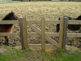 geimpregneerde-enkele-poort-t-b-v--paardenwei