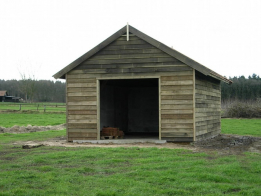 schuur-model-zaltbommel