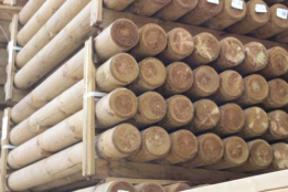 Geïmpregneerd rond 16 cm, levertijd 1 - 2 dagen