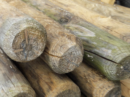 Blank geschilde boompaal rond 8 - 9 cm, lengte 200 cm