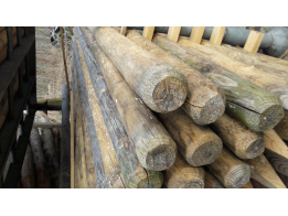 Blank geschilde boompaal rond 8 - 9 cm, lengte 250 cm