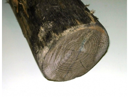 Robinia rond  14-16 cm, lengte 400 cm