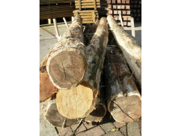 Robinia 20-25 cm / 400 cm lang